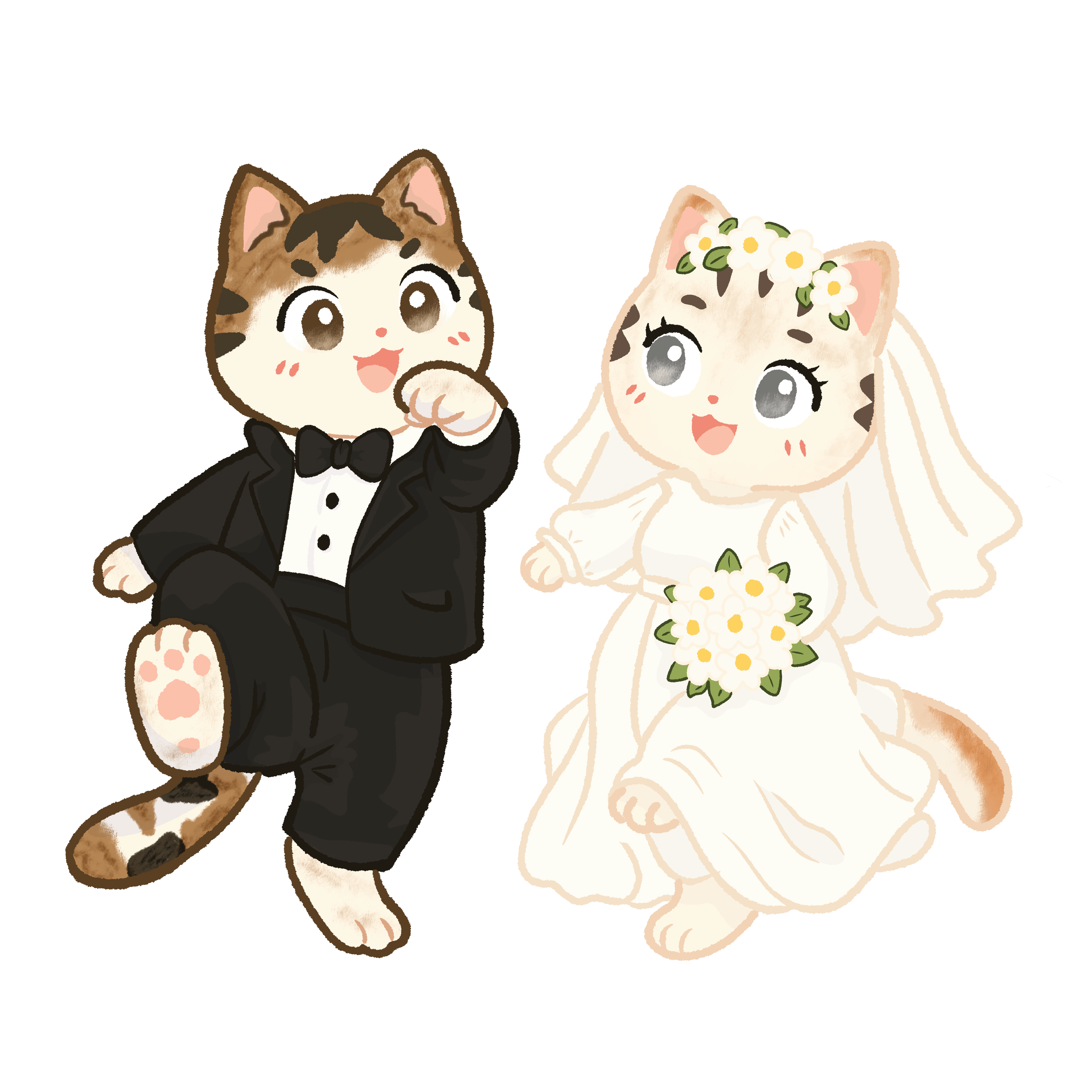 Wedding Cats
